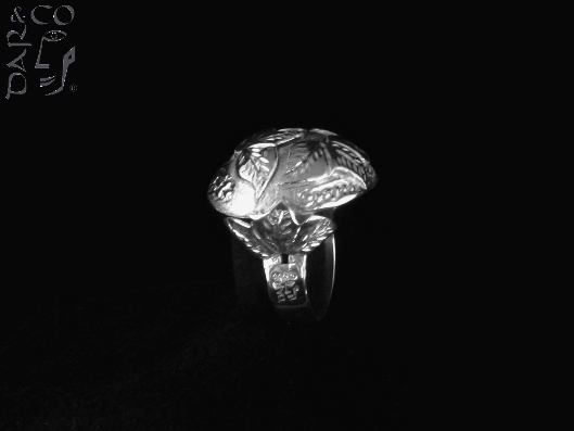 ANILLO PLATA 925